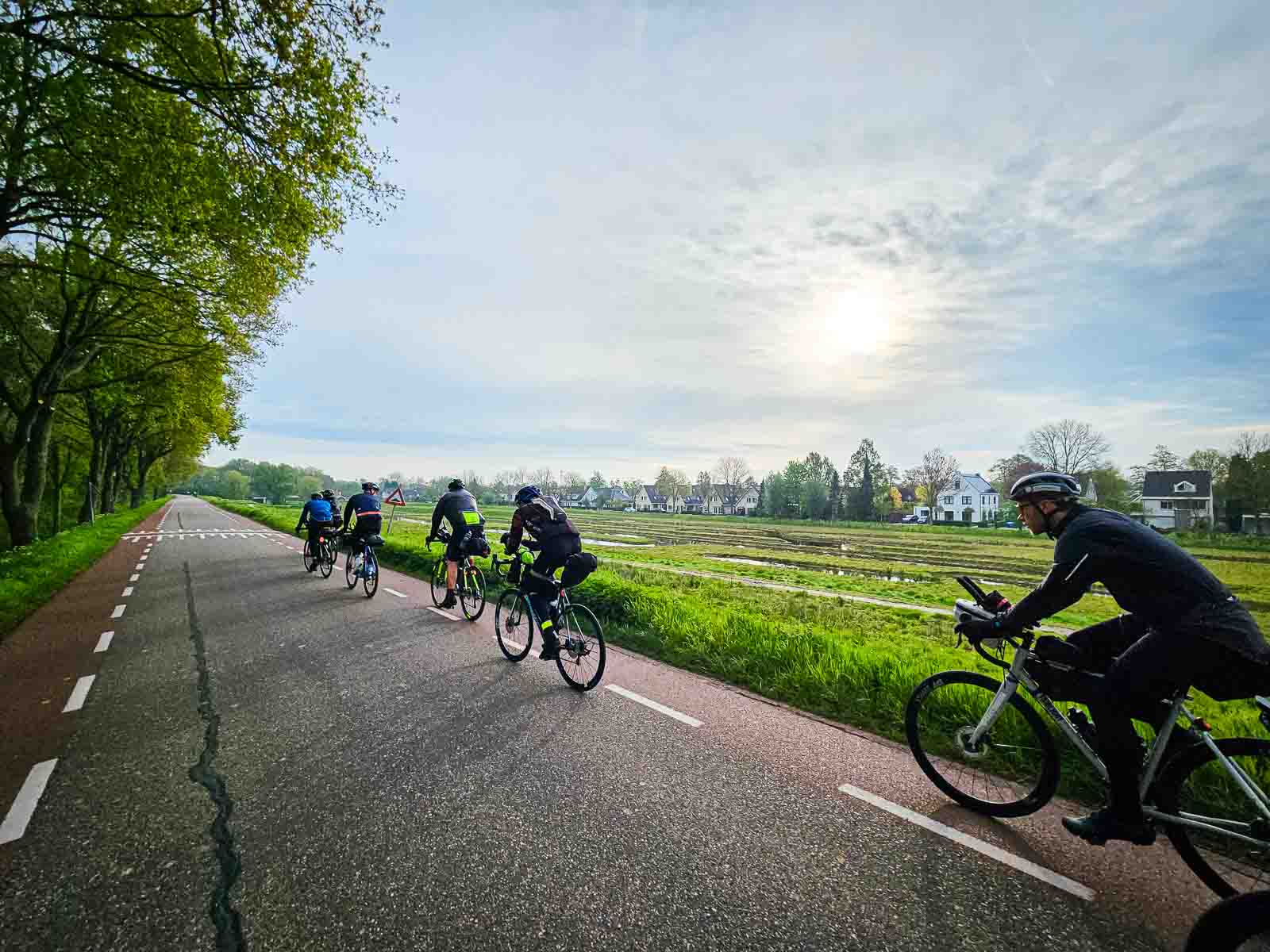 Mehrere Radfahrer fahren hintereinander auf einer Straße beim Race around the Netherlands